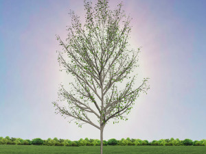 tree 4-with 24 preset materials 3Dモデル