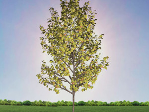 tree 4-with 24 preset materials 3Dモデル
