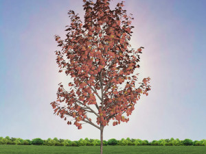 tree 4-with 24 preset materials 3Dモデル