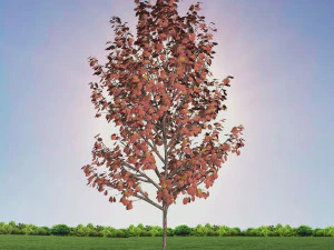 tree 4-with 24 preset materials 3D Model