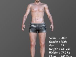 Alex 3D Model