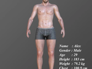Alex 3D Model