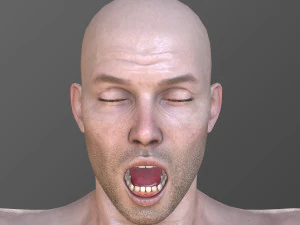 Alex 3D Model