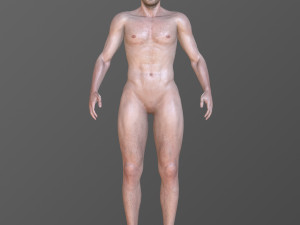 Alex 3D Model