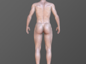 Alex 3D Model