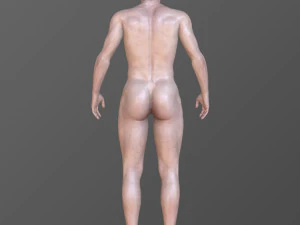 Alex 3D Model