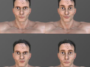 ベニー 3Dモデル