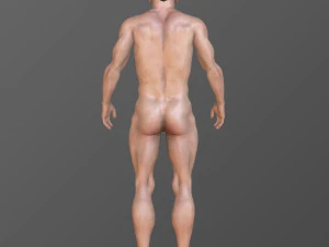 ベニー 3Dモデル