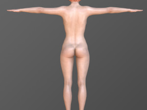 Daisy 3Dモデル