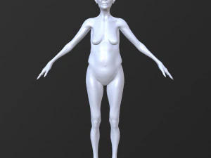 20 female base mesh 3D Model