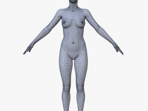 20 female base mesh 3D Модель