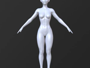 20 female base mesh 3D Model