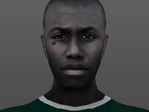 man 25 - 250 個のアニメーション付き 3Dモデル