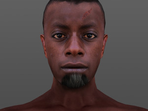 man 65 -with 250 animations Modelo 3D