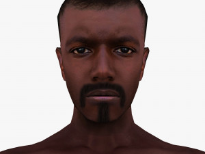 man 66 -with 250 animations 3D Model