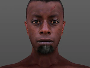 man 61 to 70 3D Model