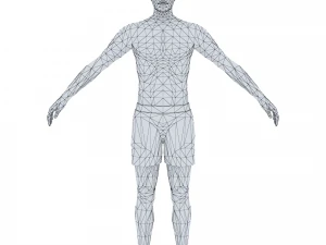 man 36 to 70 3D Model