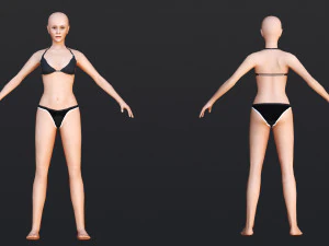 Female Demo - WITH 30 ANIMATIONS-36 MORPHS 3D Model