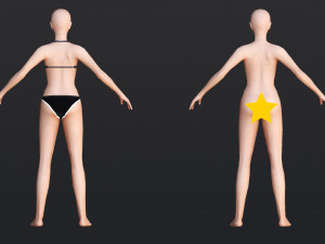 Female 1 - WITH 30 ANIMATIONS-36 MORPHS 3D Model