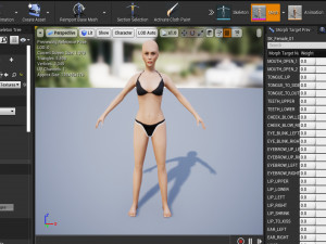 Female 1 - WITH 30 ANIMATIONS-36 MORPHS 3D Model
