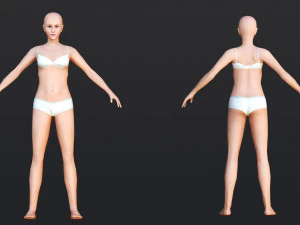Female 2 - WITH 30 ANIMATIONS-36 MORPHS 3D Model
