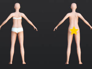 Female 2 - WITH 30 ANIMATIONS-36 MORPHS Model 3D