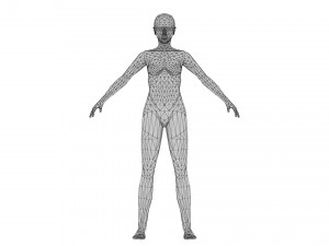 Female 2 - WITH 30 ANIMATIONS-36 MORPHS Model 3D