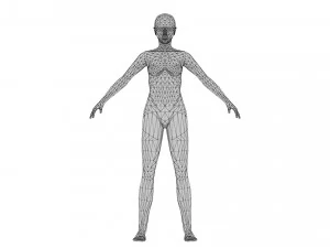 Female 2 - WITH 30 ANIMATIONS-36 MORPHS 3D Model
