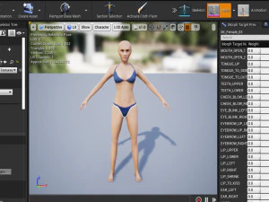 Female 3 - WITH 30 ANIMATIONS-36 MORPHS 3D Model