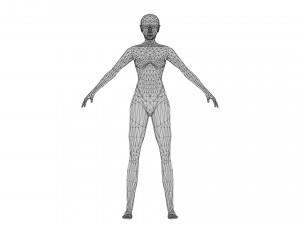 Female 3 - WITH 30 ANIMATIONS-36 MORPHS 3D Model