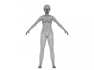 Female 4 - WITH 30 ANIMATIONS-36 MORPHS 3Dモデル