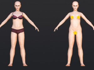 Female 5 - WITH 30 ANIMATIONS-36 MORPHS 3D Model