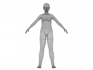 Female 5 - WITH 30 ANIMATIONS-36 MORPHS 3D Model