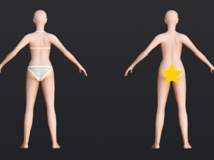 Female 6 - WITH 30 ANIMATIONS-36 MORPHS 3D Model