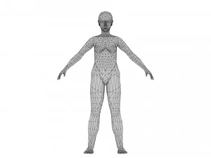 Female 7 - WITH 30 ANIMATIONS-36 MORPHS 3D Model