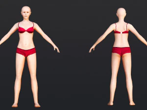 Female 8 - WITH 30 ANIMATIONS-36 MORPH 3D Model