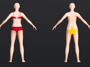 Female 8 - WITH 30 ANIMATIONS-36 MORPH Model 3D