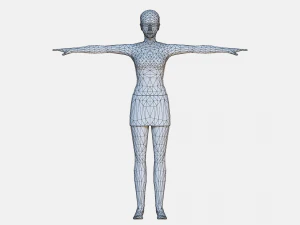 175 STANDARD ANIMATIONS 3D Model