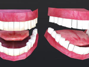Woman 1 With 52 Animations 32 Morphs 3D Model
