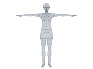 Woman 2 With 52 Animations 32 Morphs 3D Model