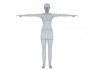 Woman 5 With 52 Animations 32 Morphs 3D Model