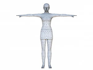 Woman 10 With 52 Animations 32 Morphs 3D Model