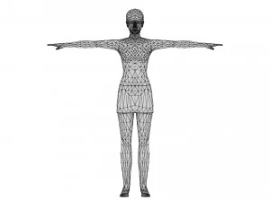 Woman 36 To 40 With 52 Animations 32 Morphs 3D Model