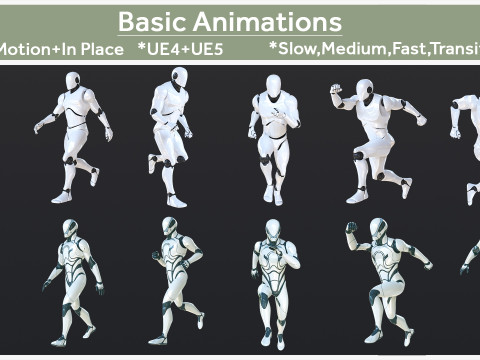 Basic Animations 3D Model