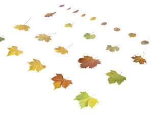 autumn leaves set 3D मॉडल