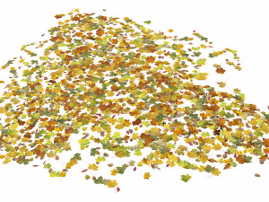 autumn leaves set 3D मॉडल