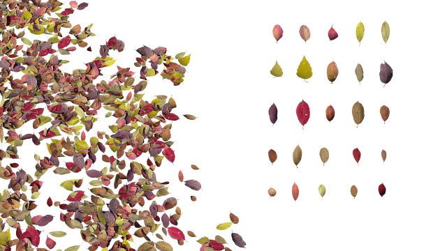 autumn leaves set 3D Модель .c4d .max .obj .3ds .fbx .stl .blend