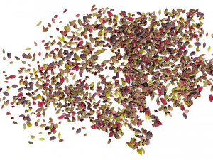 autumn leaves set 3D Model