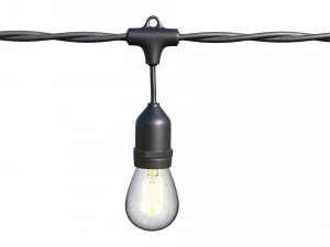 string lights edison lamps 3D Model
