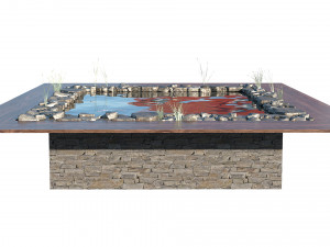 garden pond with fishes Modelo 3D
